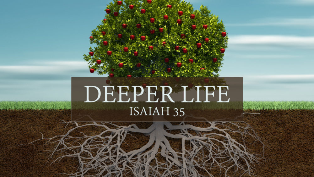 Deeper Life