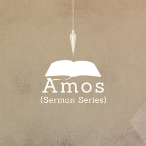 Along Came Amos